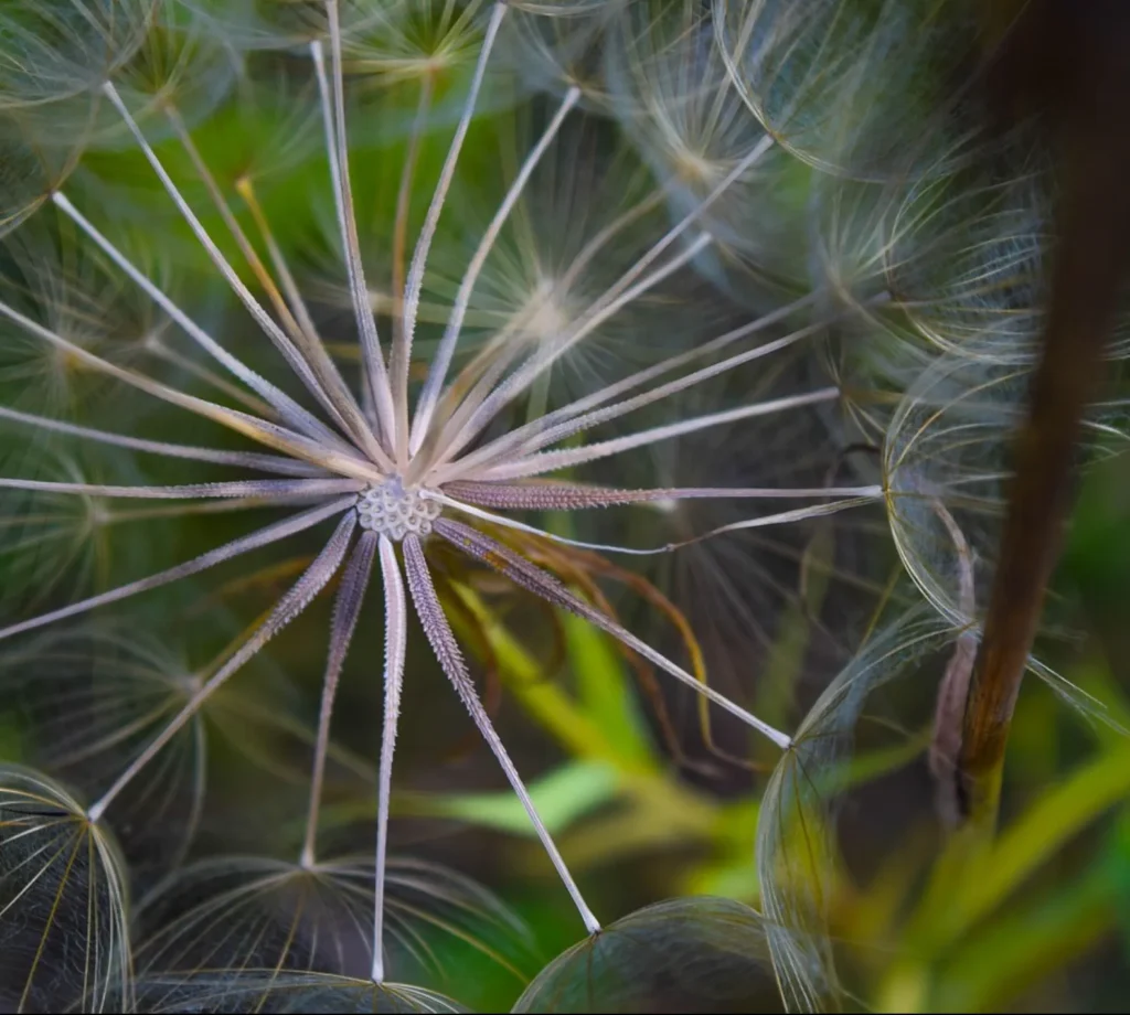 psychologist-illustration-01-1